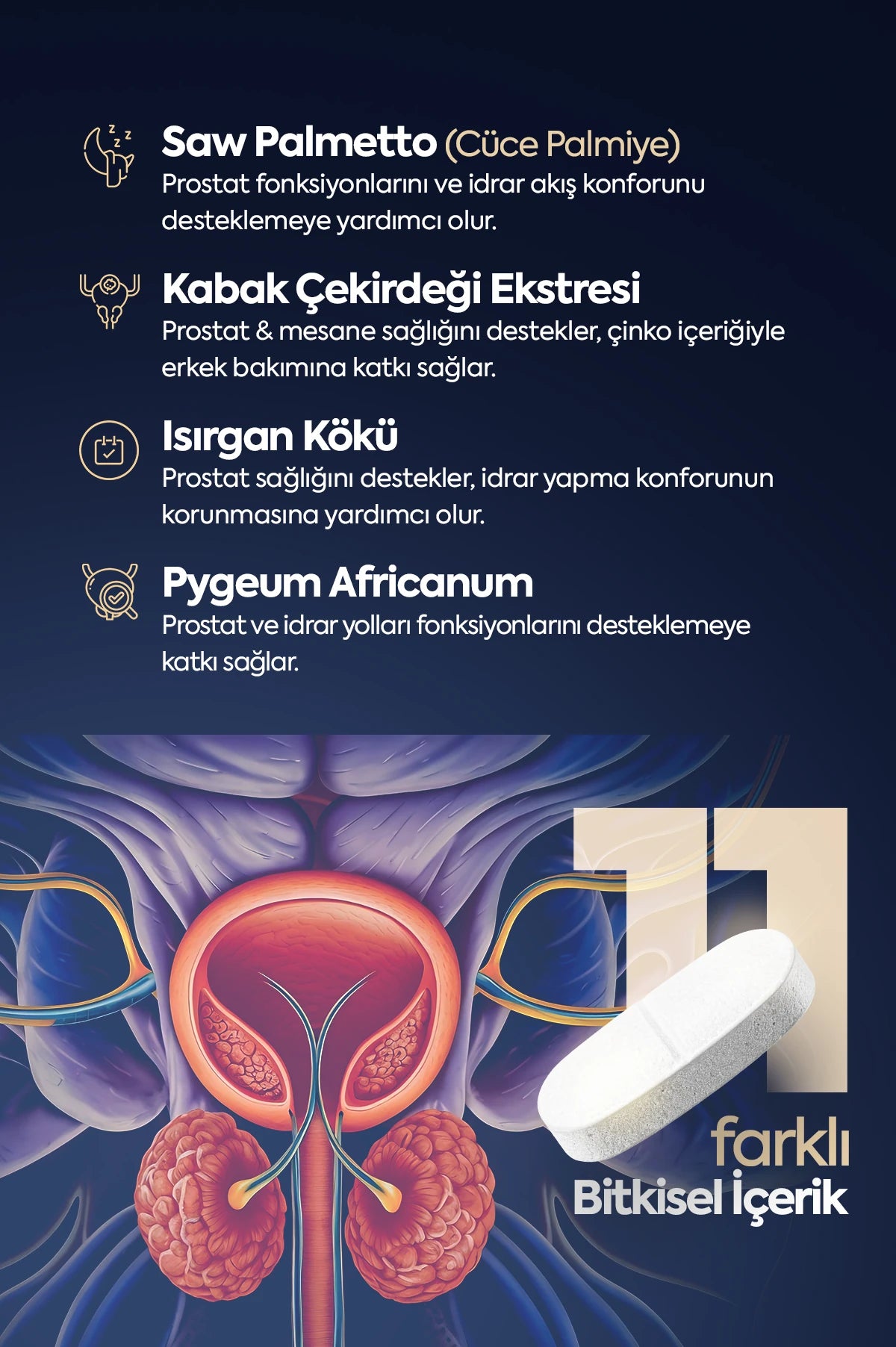 PROXEN | Saw Palmetto Complex | Cüce Palmiye, Bal Kabağı ve Beta Glukan İçeren Takviye Edici Gıda